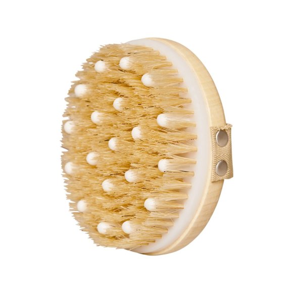 🆕 DAILY CONCEPTS Daily Detox Brush Wood - Picture 1 of 1